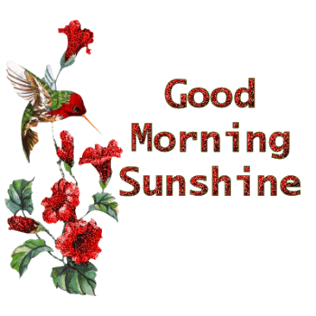 good morning sunshine Pictures, Images and Photos