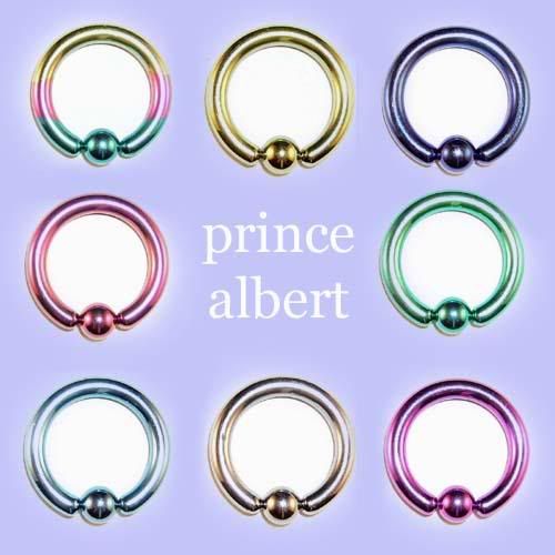 Prince Albertmale Genital Body Piercing Kitneedle Ebay 9922