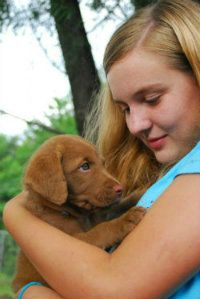 Jordan_Ben_Gundogbreeders_small_zps37087449