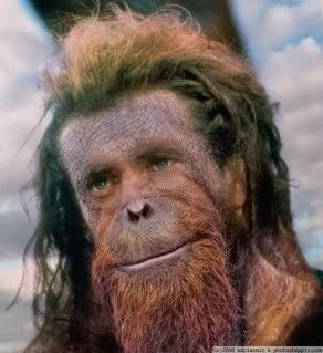 normal_mel-gibbon.jpg