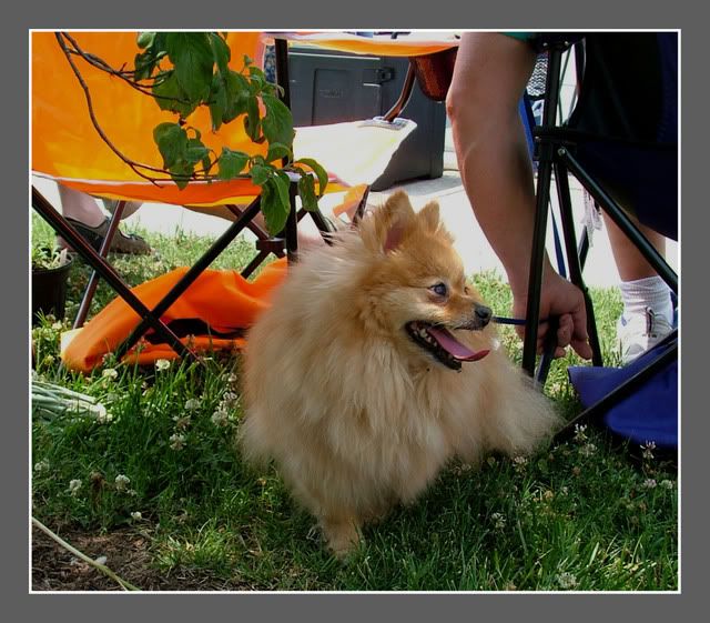 Photo Sharing and Video Hosting at Photobucket