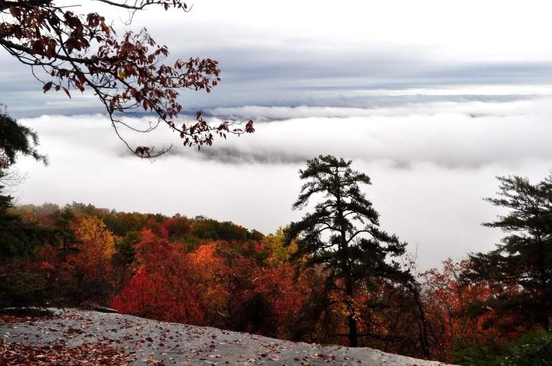 Table Rock State Park 26