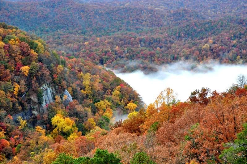 Table Rock State Park 14