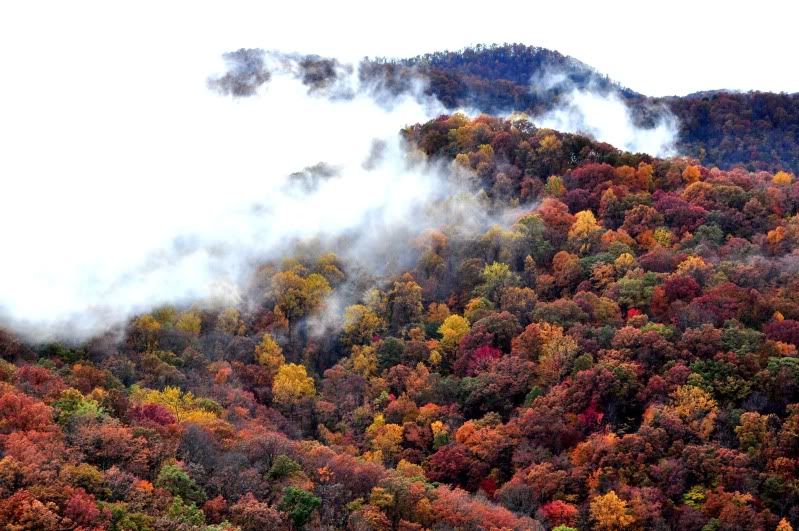 Table Rock State Park 7