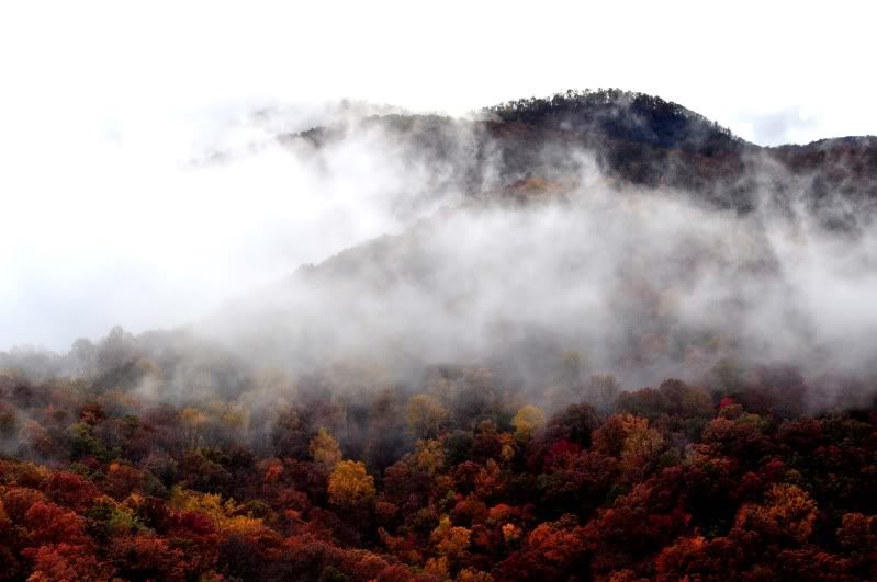 Table Rock State Park 2