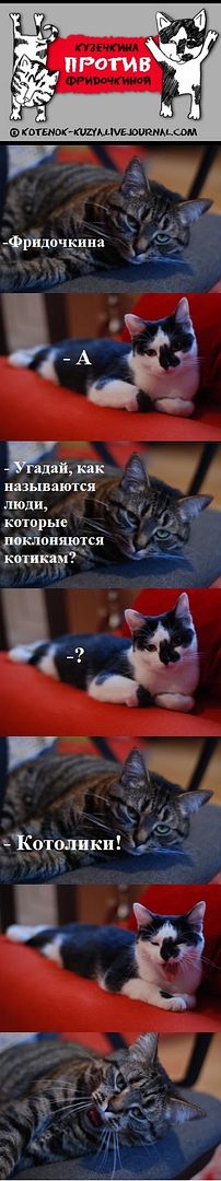 Вероисповедание