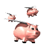 pigs fly
