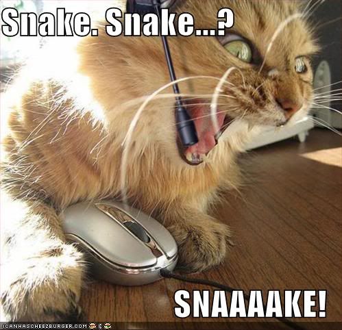 snakesnakecat.jpg