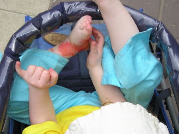 Photo Sharing and Video Hosting at Photobucket