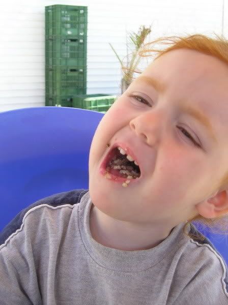 Photo Sharing and Video Hosting at Photobucket