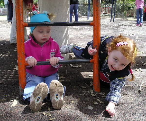 Photo Sharing and Video Hosting at Photobucket