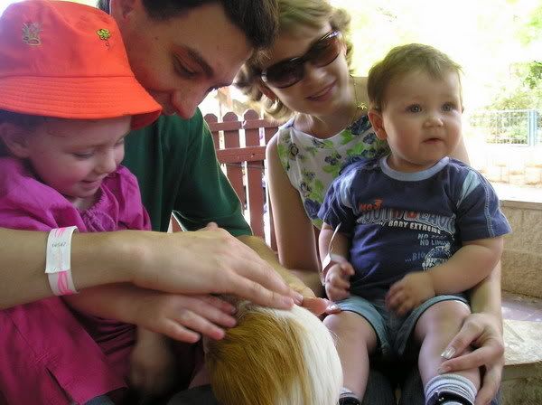 Photo Sharing and Video Hosting at Photobucket