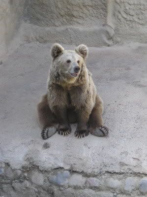 Photobucket - Video and Image Hosting