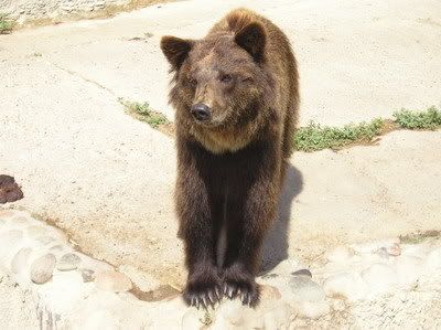 Photobucket - Video and Image Hosting