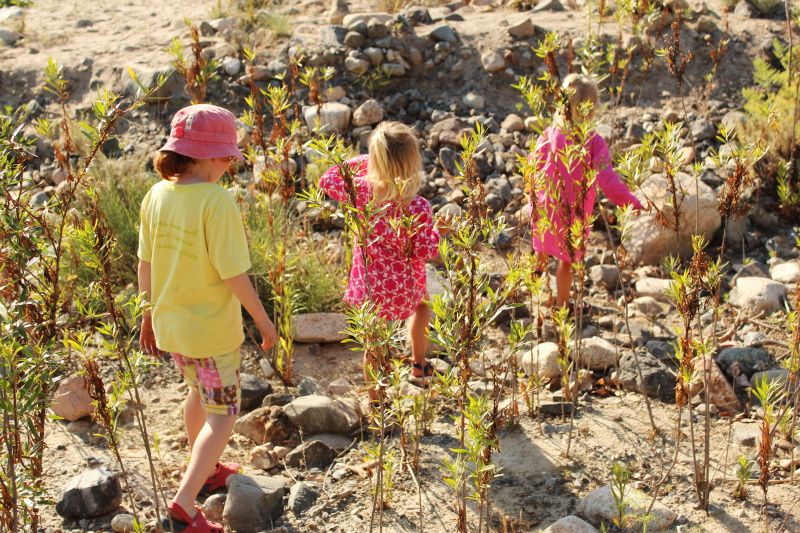  photo oniel_camping_day_1_18_zps039ae107.jpg