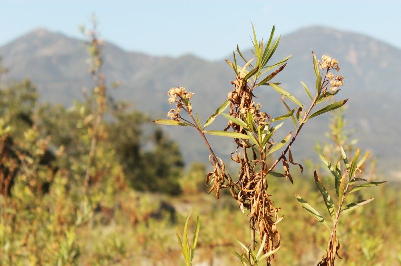  photo oniel_camping_day_1_20_zps38ce45bc.jpg