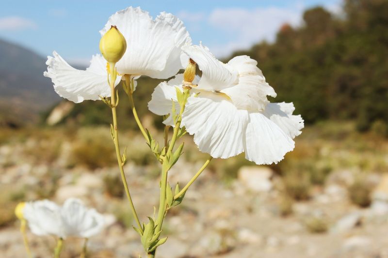  photo oniel_camping_day_1_21_zps9b91d502.jpg