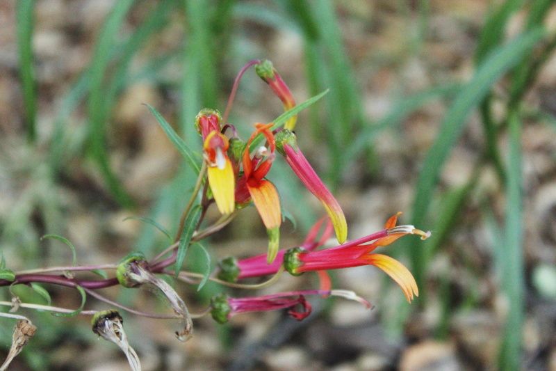  photo oniel_camping_day_1_28_zpsf5a1bce5.jpg