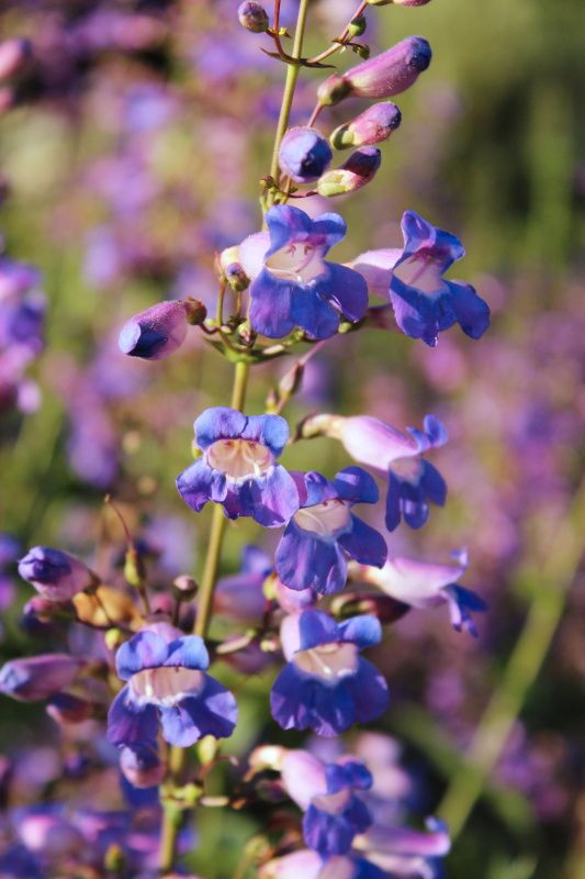  photo oniel_camping_day_1_29_zpsbe7d6a66.jpg