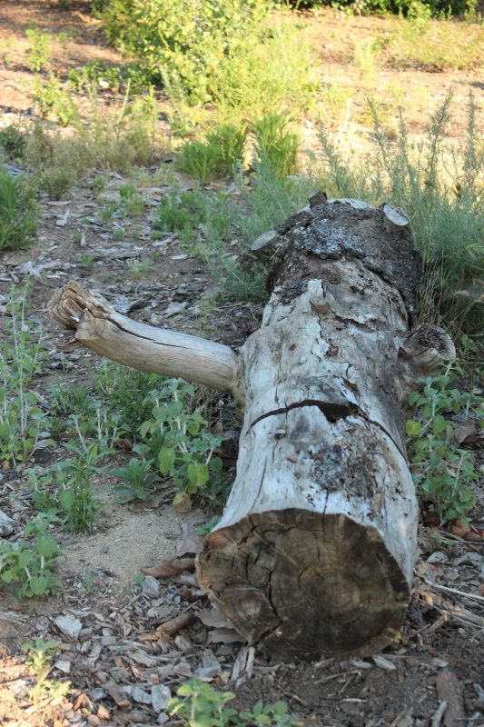  photo oniel_camping_day_1_30_zps8b70be6d.jpg