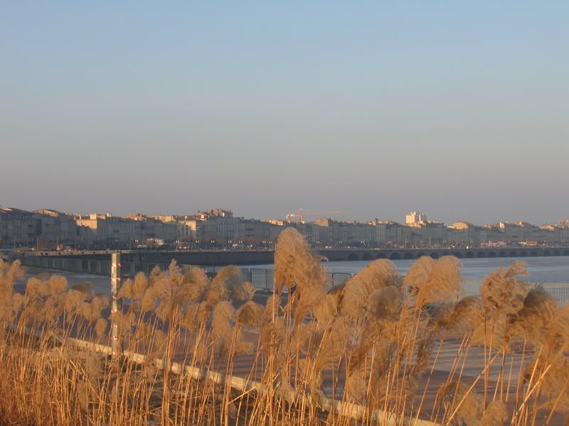http://i146.photobucket.com/albums/r252/bastos501/IMG_6233.jpg