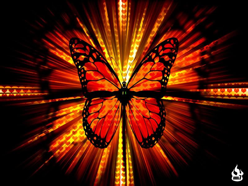 butterflies wallpapers. wallpapers butterfly. utterfly