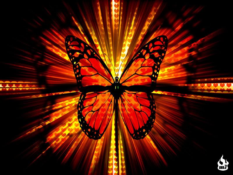 butterfly wallpapers. wallpapers butterfly. utterfly