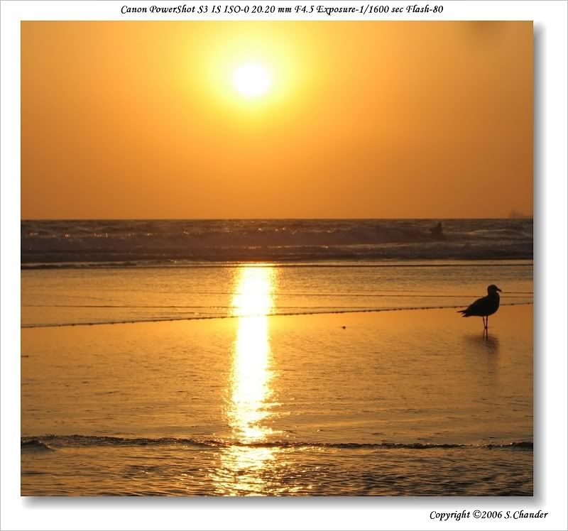 IMAGE: http://i146.photobucket.com/albums/r253/chander_7/My%20Favourites/Beach.jpg
