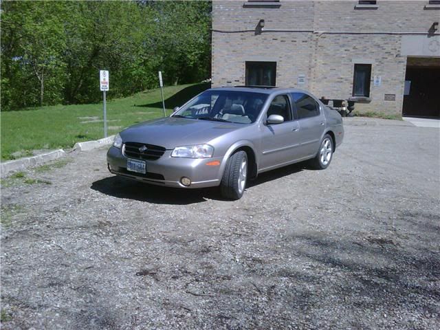 http://i146.photobucket.com/albums/r253/cockknuckle/maxima.jpg
