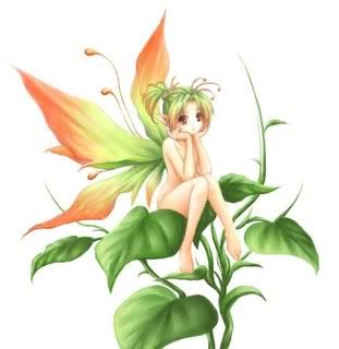 Tinkerbell Chapter Books