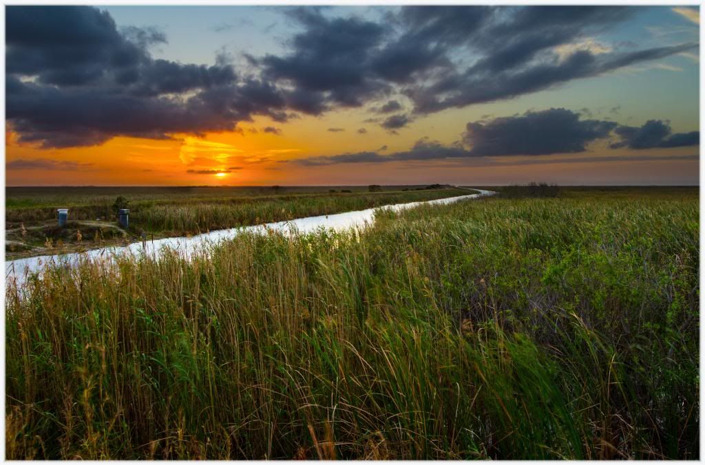 IMAGE: http://i146.photobucket.com/albums/r254/oscarl62/Sunrise/grass6_zps76caceae.jpg