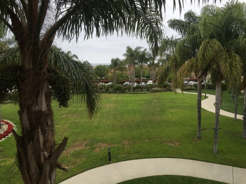  photo 6a650965-4e03-477a-8ed8-3bd0db59145e_zpsw61udhbg.jpg