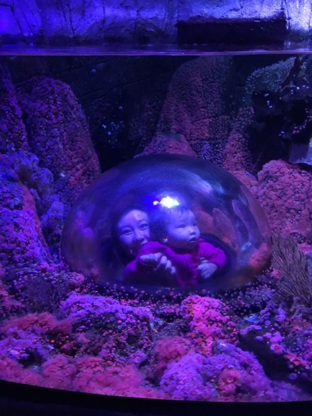  photo b2a75aa3-8b80-4c38-a7ff-8986c179d3f9_zpspiwswt2n.jpg