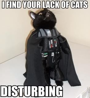 VaderCat.jpg