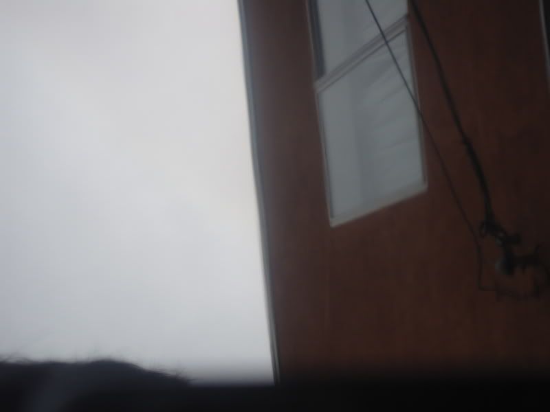 DSC03730.jpg