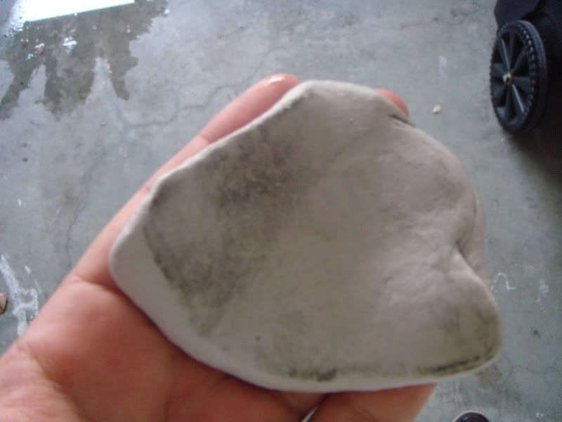 DSC03748.jpg