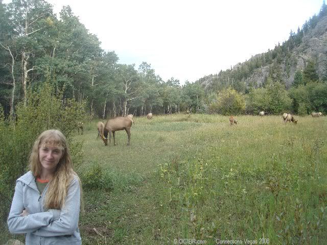 Andrechelle and Elk at Rocky Mountain National Park
