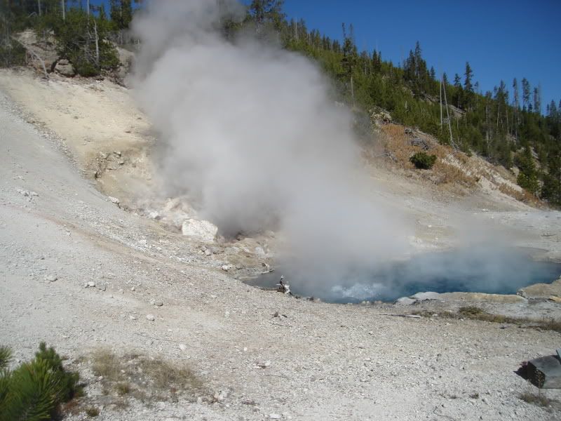 Hot springs @ Yellowstone