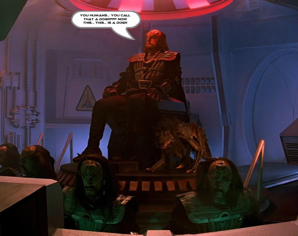 SearchforSpock.jpg
