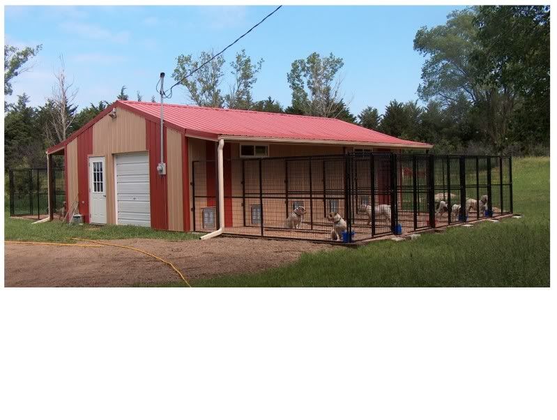 kennel3.jpg