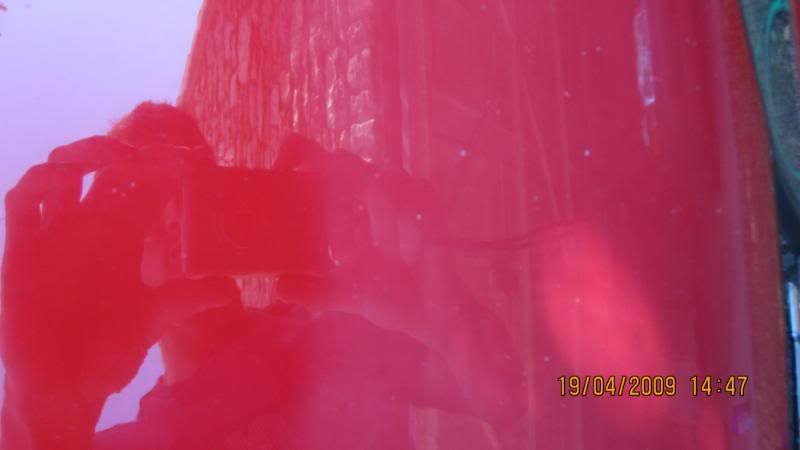 IMG_0187.jpg