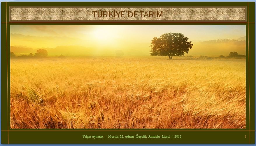 Trkiye'de Tarm PowerPoint Sunu