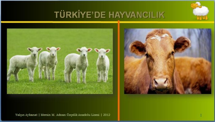 Trkiye'de Hayvanclk PowerPoint Sunu