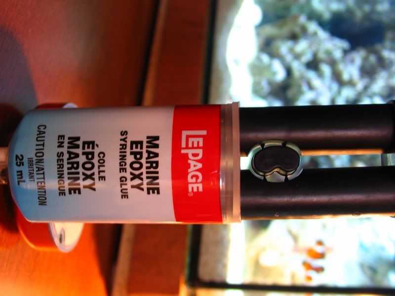 reef safe glue