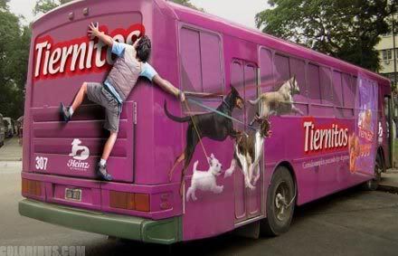 bus_avert_16.jpg