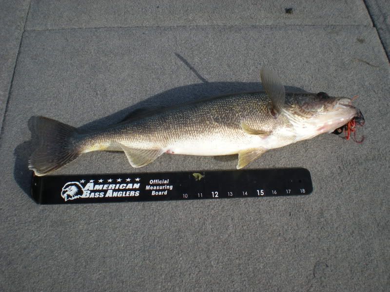 Butterfield Lake Today