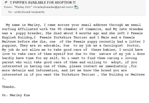 Puppy Scammer Email Puppy Scammer Email
