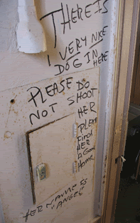 A plea written on the wall of a school where many dogs were massacred