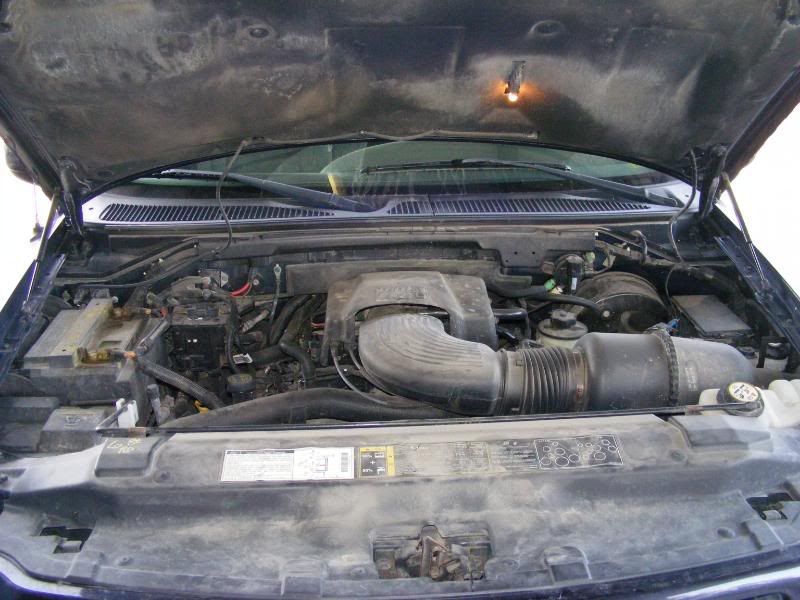DSCF0364.jpg