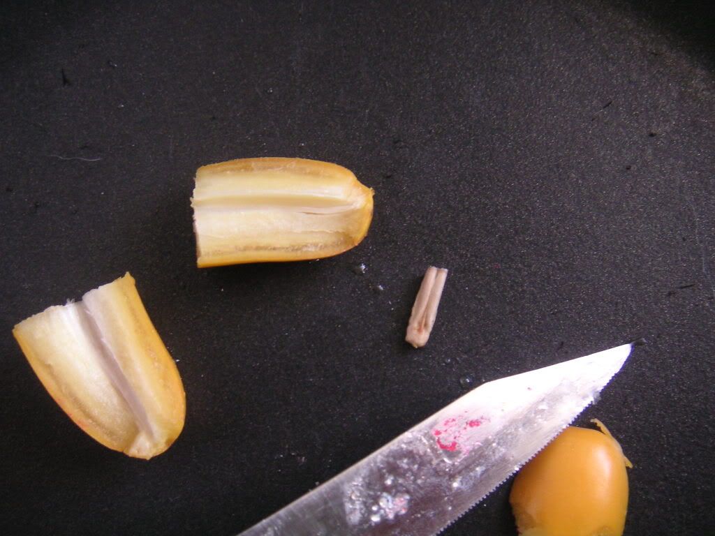 7-10-08-009.jpg